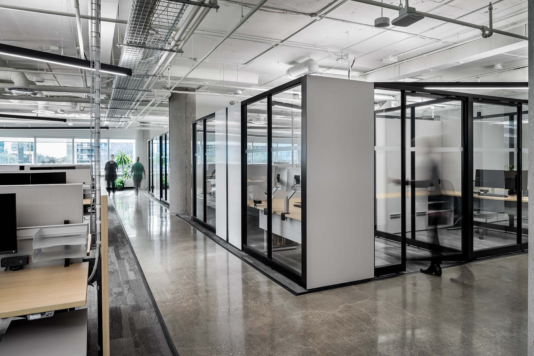 sm-​BH_Mul-​Ban_006-​P